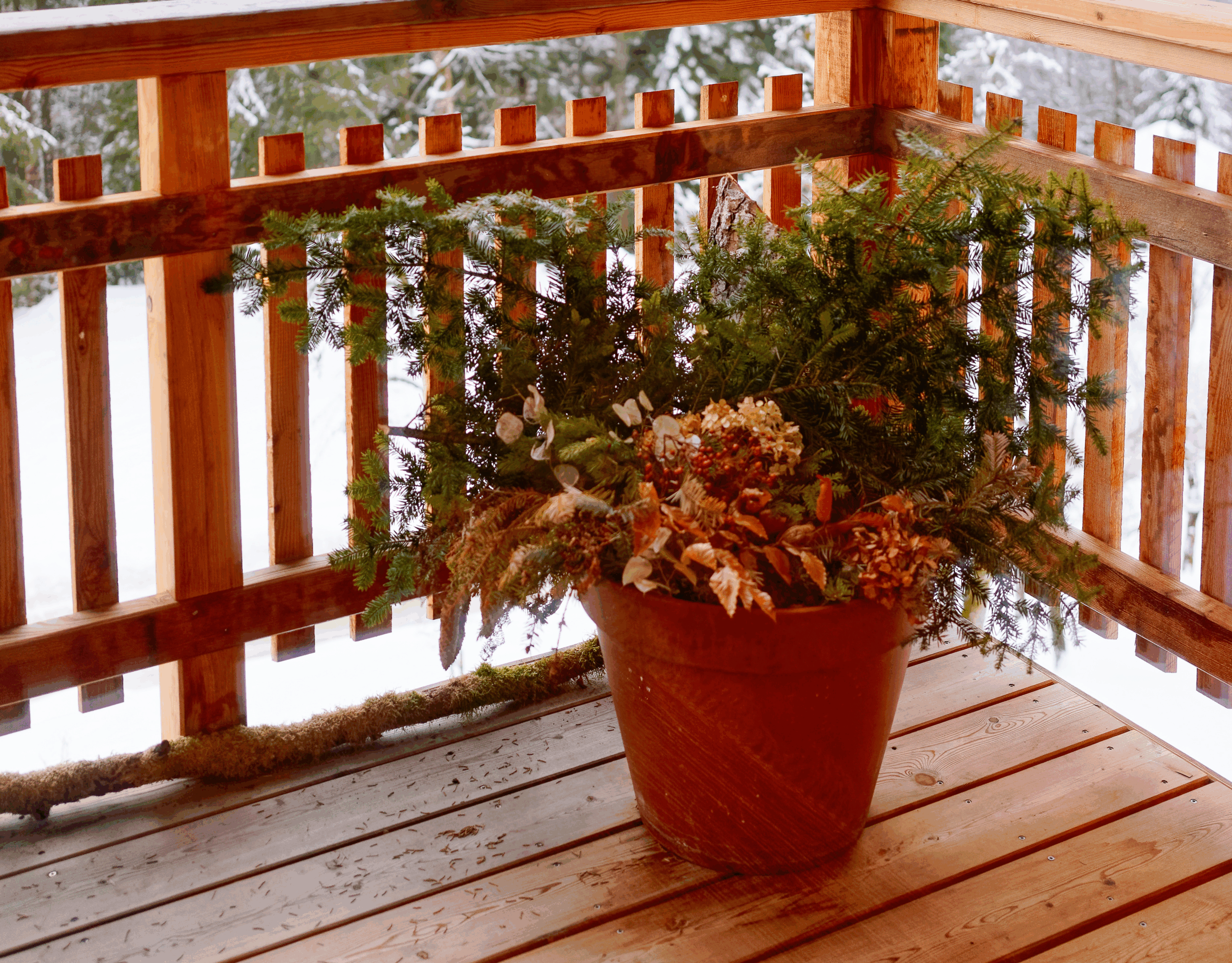 Winter porch pot on balcony