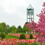 A colorful photo of flowers in Reiman Gardens in Ames, Iowa