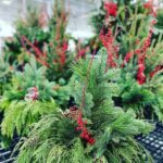 Winter Porch Pot Greenery with Red Accents