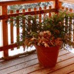 Winter porch pot on balcony-Stock Image Winter porch pot on balcony